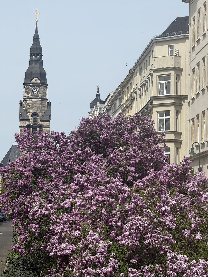 Denkmalgeschützte Maisonette · 137m²· 70 m²Dachterrasse · Aufzug · Bezugsfrei · Leipzig Zentrum-Nord – Ernst-Pinkert-Str. 11, 4105 Leipzig(Zentrum) – Vorschaubild 28