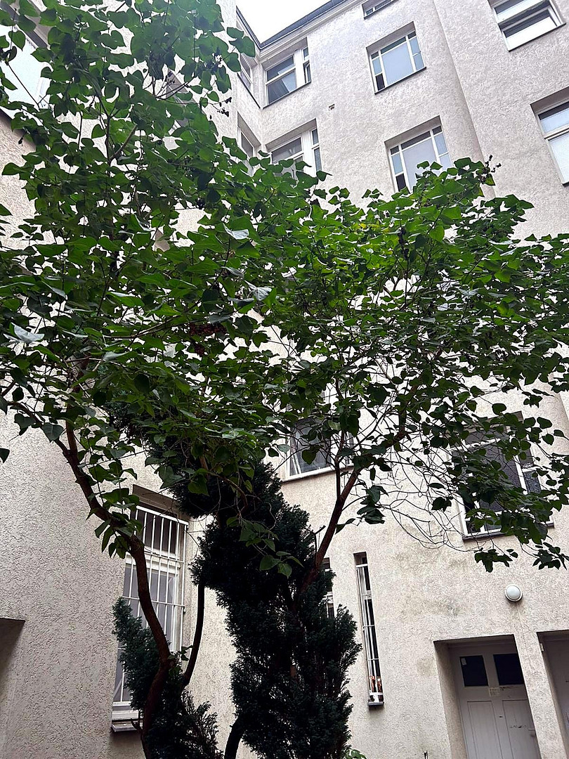 Hochwertig sanierte 1 Zimmer Altbauwohnung mit Loftcharakter Nähe U Bahn Station Frankfurter Tor – Berlin(Friedrichshain) – Vorschaubild 15