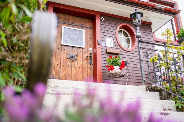 Traumhaus / Kleinod / Kraftquelle mit Naturzugang – Hinterzarten – Vorschaubild 2
