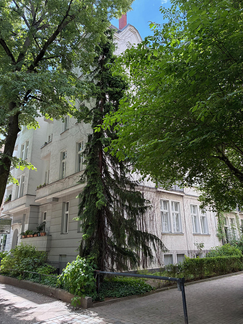 Bezugsfertig & Provisionsfrei: Sanierter Altbau-Traum mit Balkon, 2 Bädern, EBK und Kamin in Toplage – Berlin(Steglitz) – Vorschaubild 22