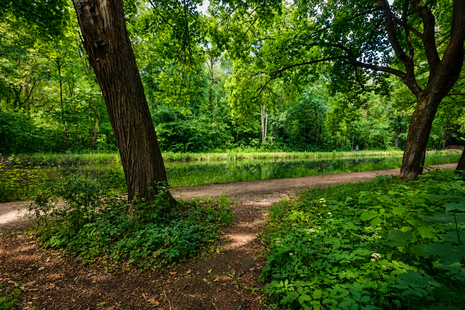 Wunderschöne, teilsanierte 3-ZW in naturnaher Lage in Nürnberg – Nürnberg(Gartenstadt) – Vorschaubild 10