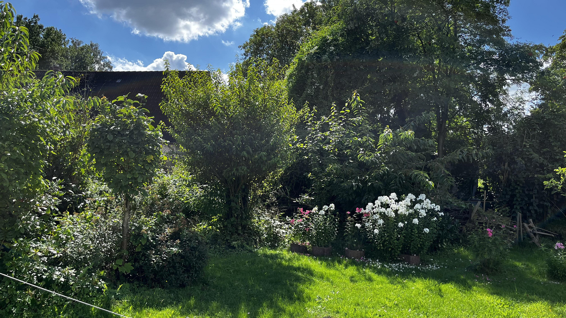 Haus und Grundstück in Quickborn Heide – Quickborn(Quickborn-Heide) – Vorschaubild 6