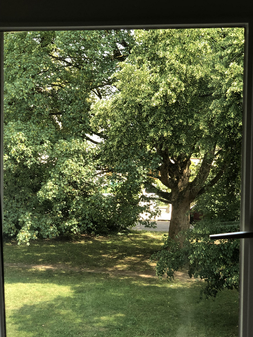 Helle 2-Zimmer-Wohnung, ruhige Lage in Moosach, Balkon mit Blick ins Grüne, möbliert übernehmbar – 80992 München(Moosach) – Vorschaubild 11