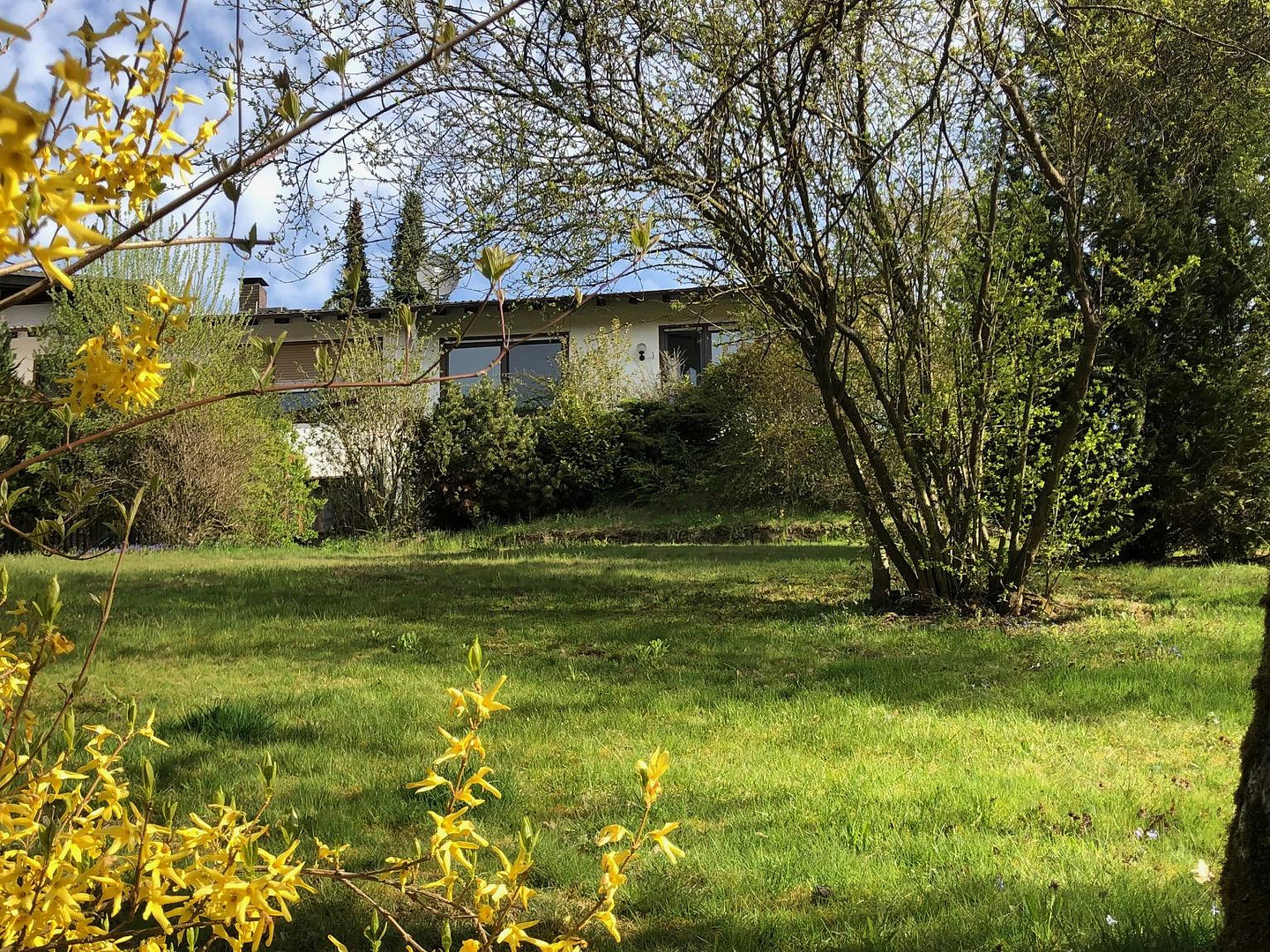 Ganzes Haus mit Einliegerwohnung, zwei Küchen und Wallbox für Ihr E-Auto – Am Sonnenberg 1, 64753 Brombachtal(Langenbrombach) – Vorschaubild 3