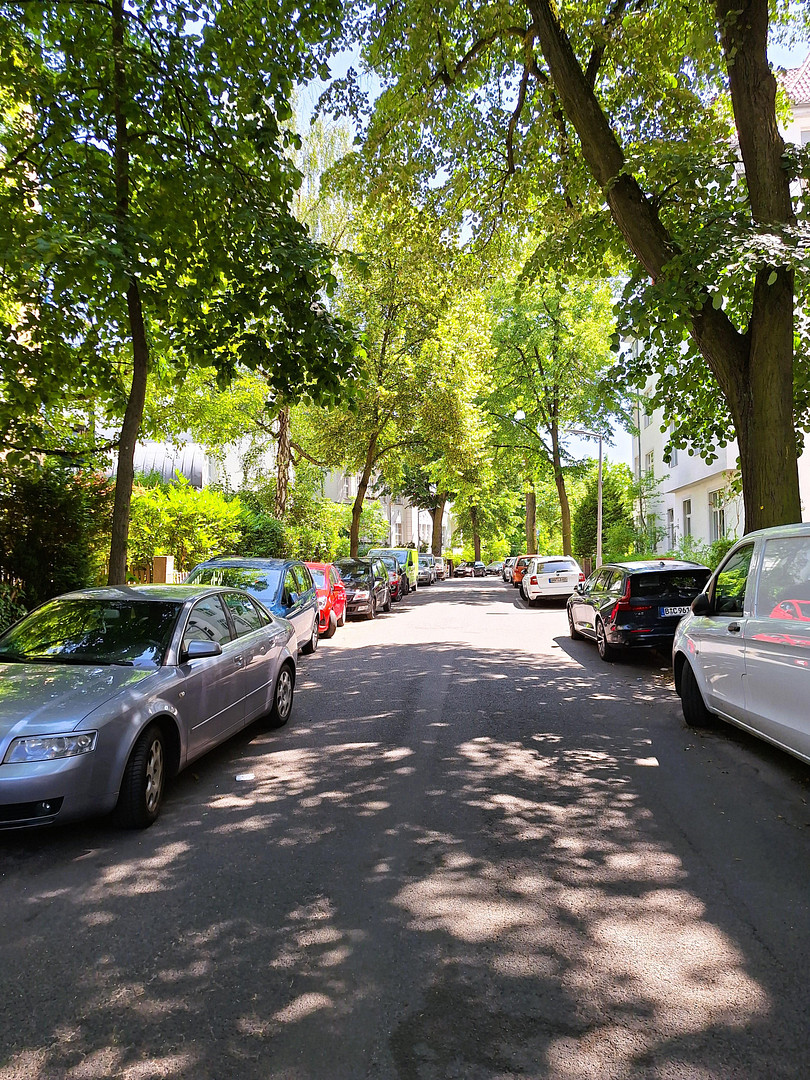 Dachwohnung - Erstbezug nach Renovierung - Grün und Zentral – Leydenallee 37, 12167 Berlin(Steglitz) – Vorschaubild 27