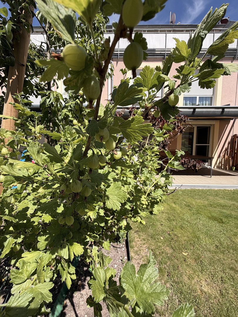 Modernes Reihenmittelhaus in begehrter Wohnlage „Parkside“ in Feucht – Marsweg 17, 90537 Feucht – Vorschaubild 28