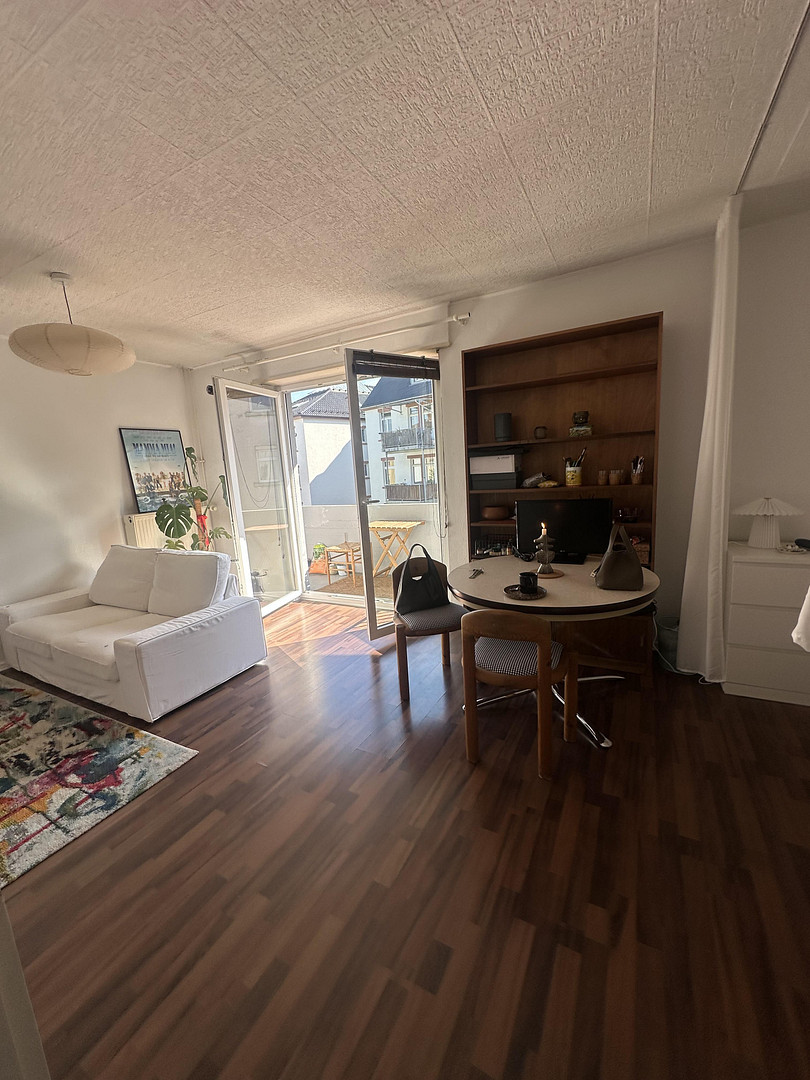 Stilvolles Apartment in der beliebten Neckarstadt-OST – Mannheim – Vorschaubild 5