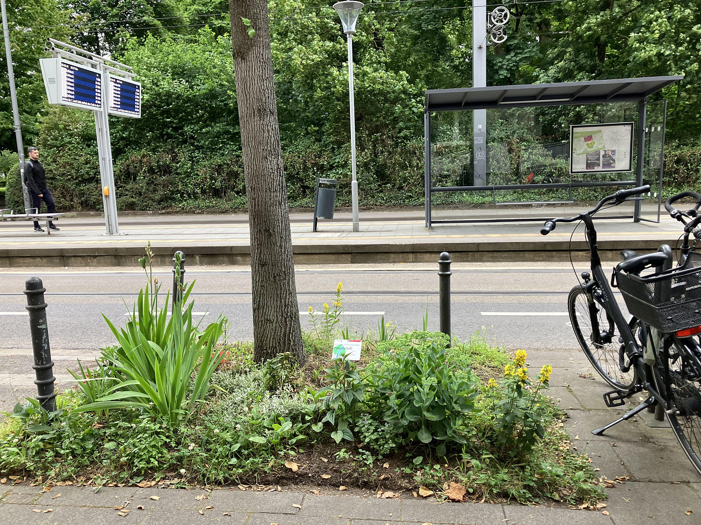 Zentral wohnen in Köln – 2-Zimmer-Erdgeschosswohnung mit großem Garten direkt am Volksgarten – Eifelstr. 46, 50677 Köln(Innenstadt) – Vorschaubild 15