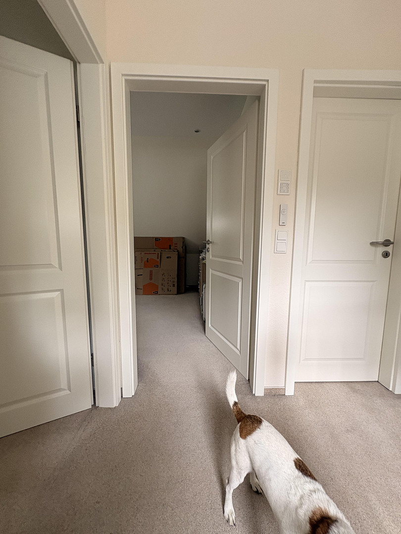 Modernes Einfamilienhaus auf 1.836 m² Naturgrundstück mit Waldanteil in Dassendorf – Müssenweg 43a, 21521 Dassendorf – Vorschaubild 11