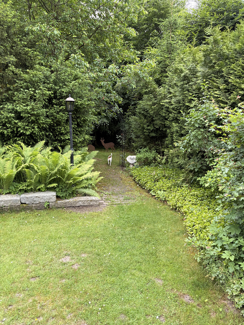 Modernes Einfamilienhaus auf 1.836 m² Naturgrundstück mit Waldanteil in Dassendorf – Müssenweg 43a, 21521 Dassendorf – Vorschaubild 20