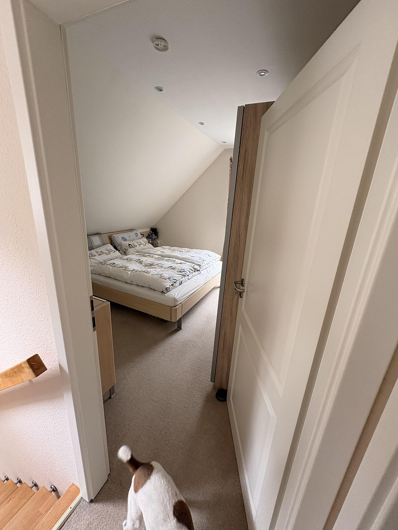 Modernes Einfamilienhaus auf 1.836 m² Naturgrundstück mit Waldanteil in Dassendorf – Müssenweg 43a, 21521 Dassendorf – Vorschaubild 10