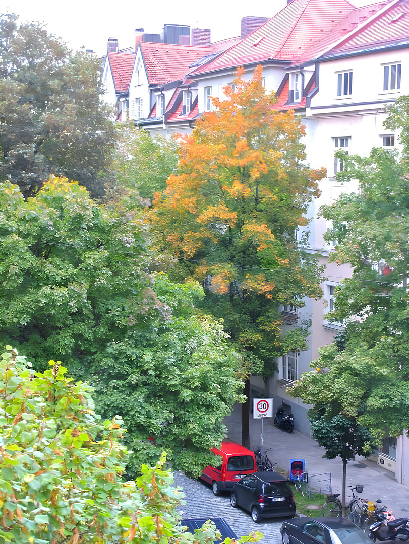 Elegante helle 3,5-zimmer-Altbauwohnung mit Balkon in toller Lage! – Valleystraße 19, 81371 München(Sendling) – Vorschaubild 3