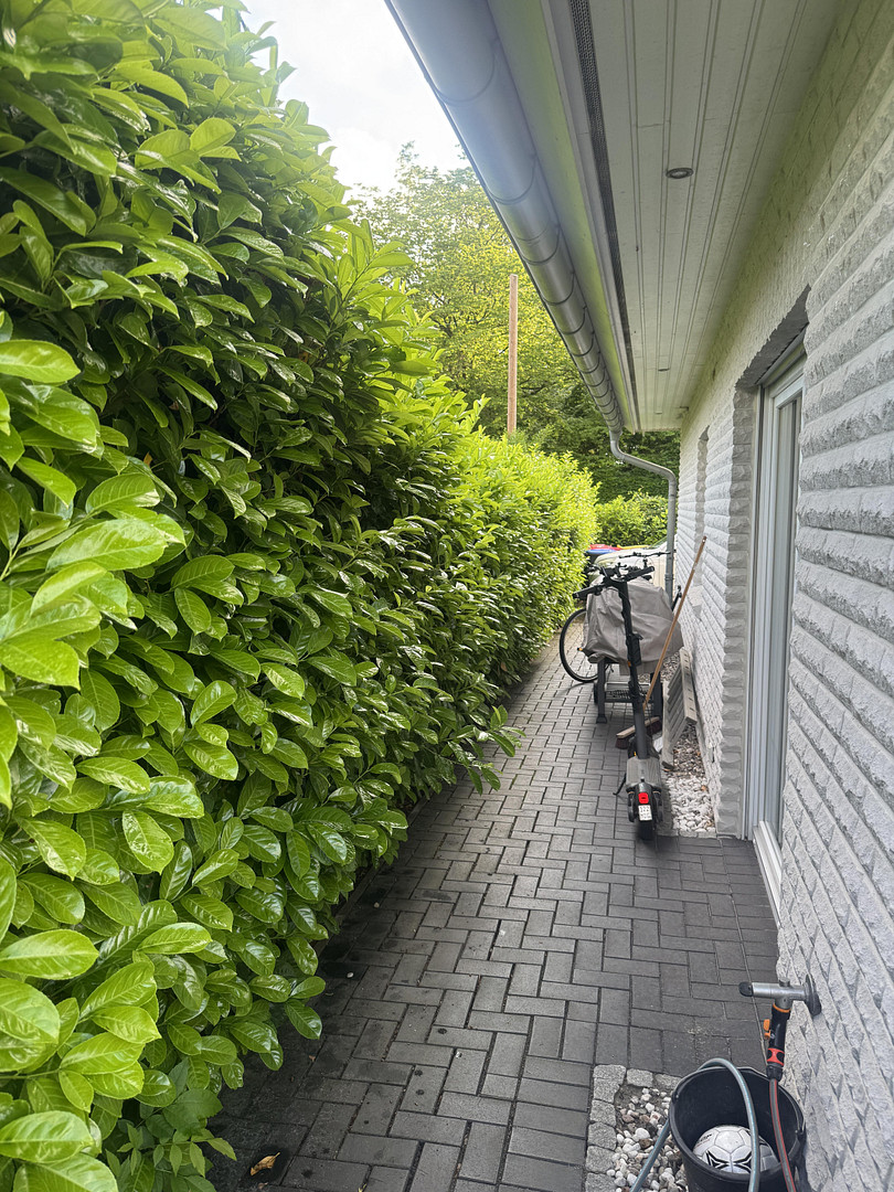 Hamburgs seltenste Wohnform: Zwei freistehende Einfamilienhäuser auf einem Grundstück – Hamburg(Bramfeld) – Vorschaubild 10