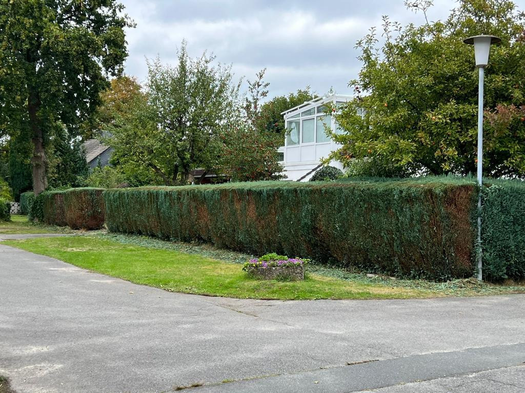 Modernisiertes Einifamilienhaus mit großem Garten & Wintergarten – Hagen im Bremischen – Vorschaubild 7