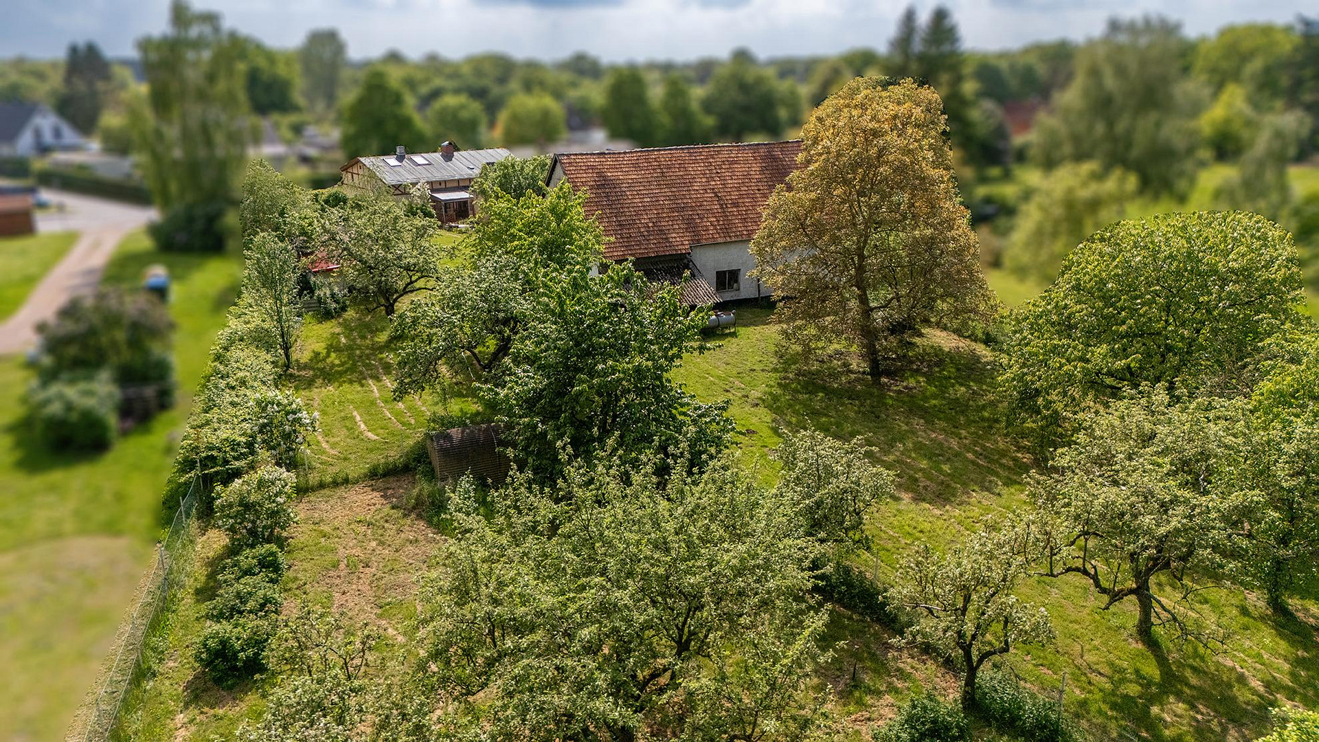 Historischer Schnitterkaten mit Ställen & Scheune – ideal für ökologische Sanierung – 18195 THELKOW(Thelkow) – Vorschaubild 6
