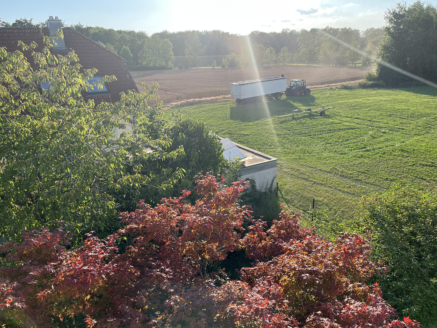 Blick von der Dachterrasse