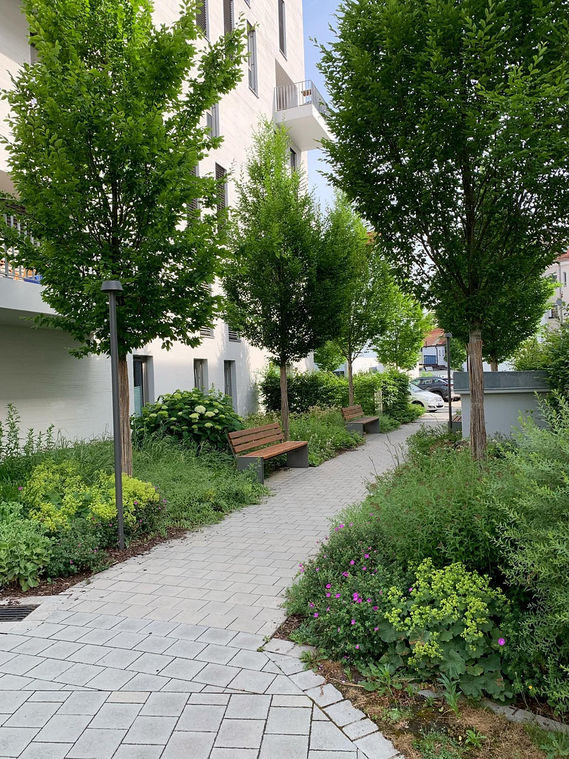 Elegante 2-Zimmerwohnung in Stadtparknähe – Nürnberg(Maxfeld) – Vorschaubild 14
