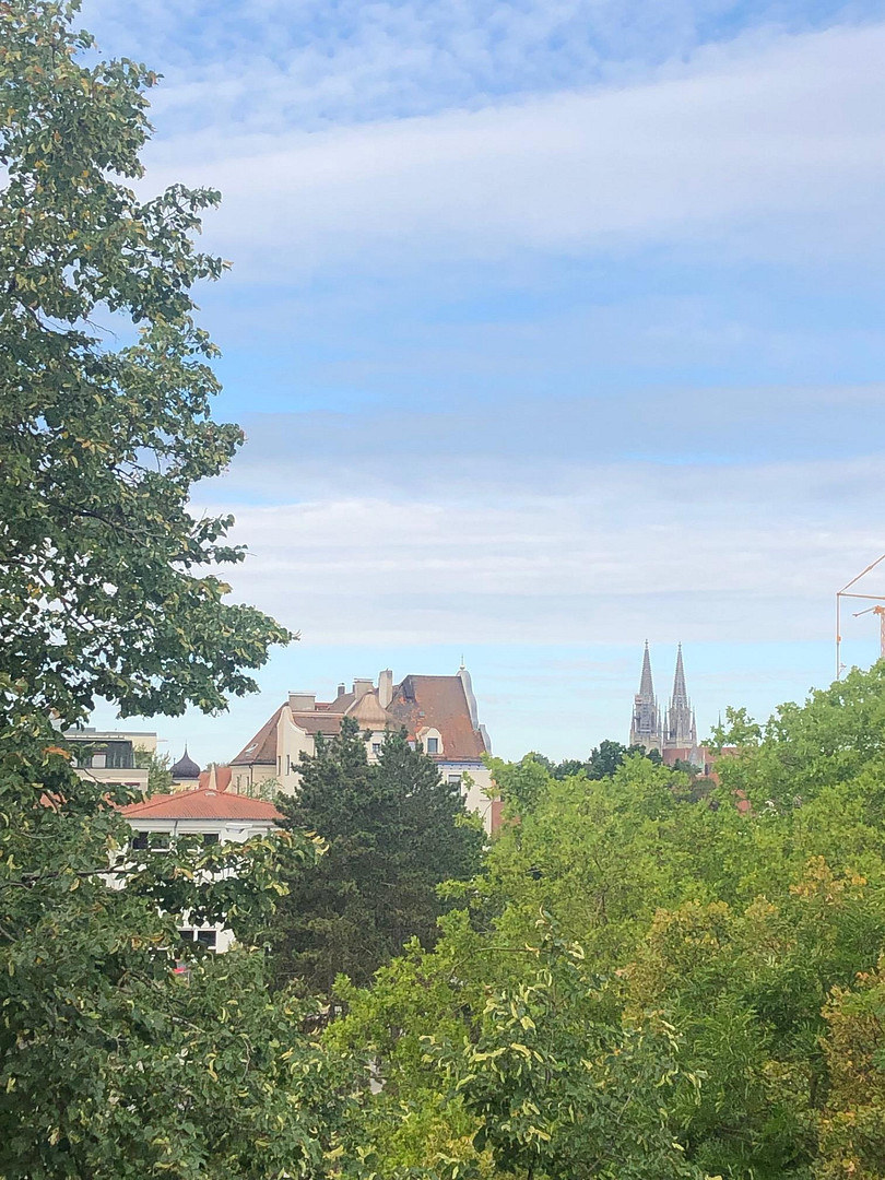 helles zentrumsnahes 1 Zi-Appartment mit neuwertiger Einbauküche – Regensburg(Ostenviertel) – Vorschaubild 8