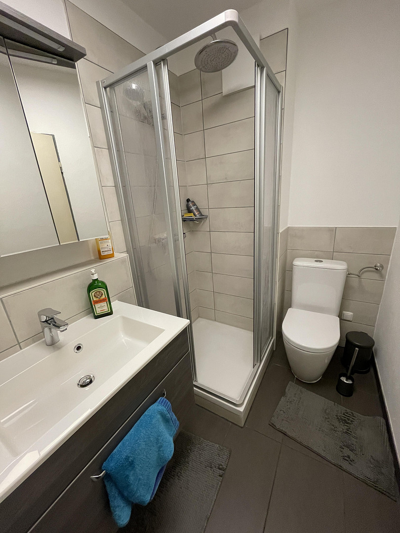 helles zentrumsnahes 1 Zi-Appartment mit neuwertiger Einbauküche – Regensburg(Ostenviertel) – Vorschaubild 6