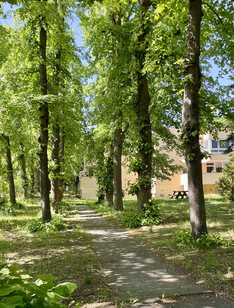 Provisionsfrei vom Eigentümer: Familienidylle in Wannsee - Wohnen zwischen Dorfkern, Seen und Natur – 14109 Berlin(Wannsee) – Vorschaubild 3