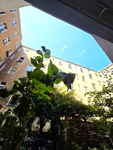Provisionsfrei - gepflegte, helle Altbauwohnung in Nord-Neukölln – 12051 Berlin(Neukölln) – Vorschaubild 23