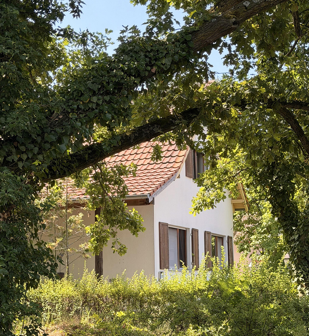 Freistehendes Einfamilienhaus mit Photovoltaikanlage auf sonnigem Grundstück in Berlin-Wittenau – Berlin(Wittenau) – Vorschaubild 3