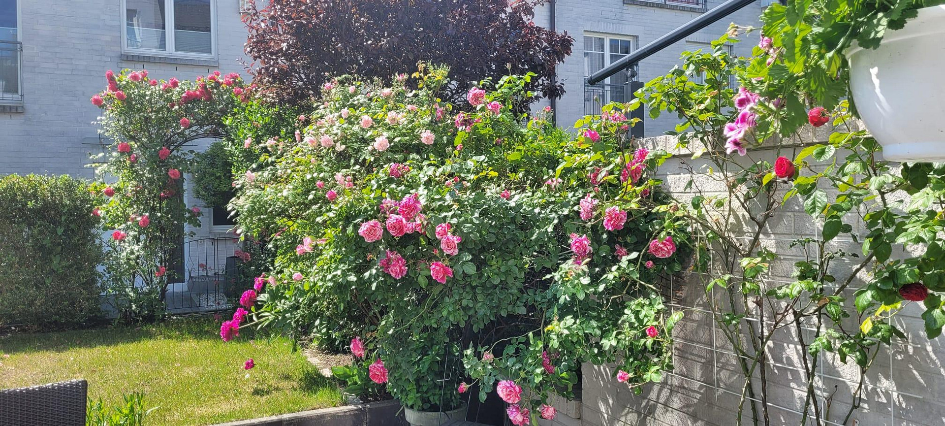 Stadthaus / Townhouse in Hamburg - Eimsbüttel mit unverbaubaren Blick in den Stadtpark Eimsbüttel – 22525 Hamburg(Stellingen) – Vorschaubild 18