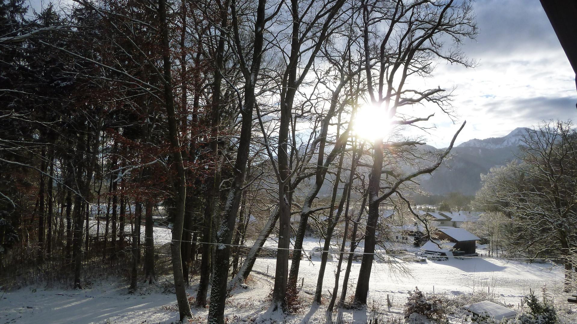 Für Naturliebhaber: renoviertes Haus Nähe Chiemsee, fast Alleinlage + Bergblick – Übersee – Vorschaubild 8