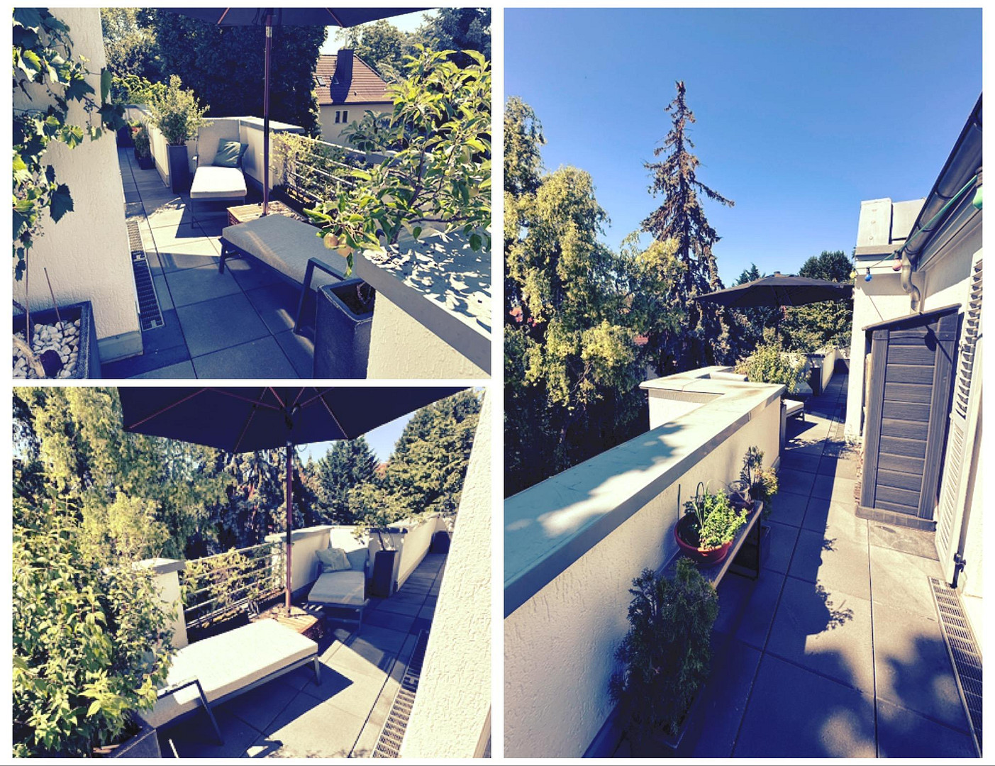 all-inclusive - Penthouse - Wohnung im Grünen (ohne Provision, inkl. Kfz-Stellplatz) – Magdeburg(Sudenburg) – Vorschaubild 16