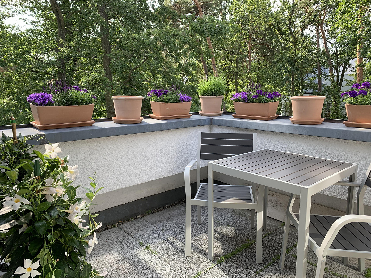 Preisangebot! Bezugsfreie, helle DG Maisonette mit großer Dachterrasse – Potsdam(Babelsberg) – Vorschaubild 4