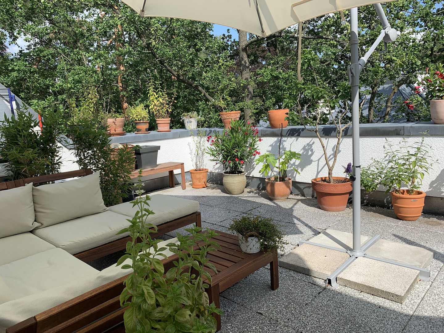 Preisangebot! Bezugsfreie, helle DG Maisonette mit großer Dachterrasse – Potsdam(Babelsberg) – Vorschaubild 7