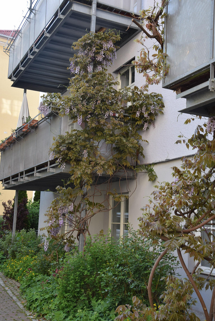 Großzügige 6-Zimmer-Wohnung in einem Gründerzeithaus in der Ludwigsvorstadt – München(Ludwigsvorstadt) – Vorschaubild 27