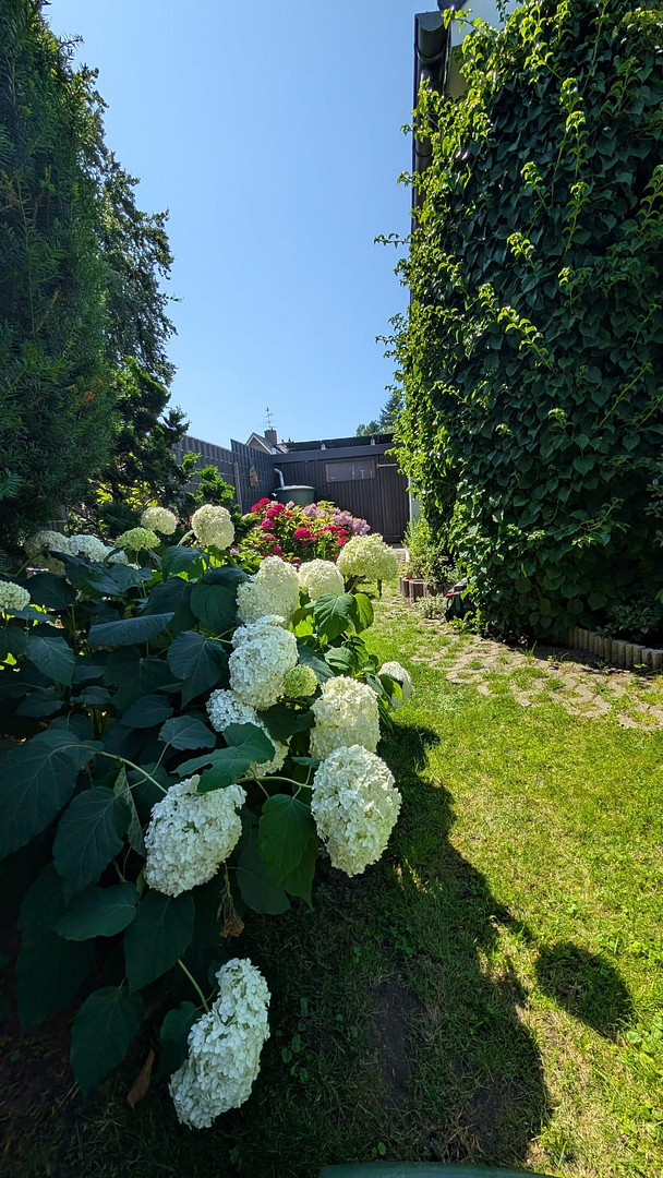 Familienidyll in ruhiger Lage (Haus courtagefrei, Energieklasse A) – 22149 Hamburg(Rahlstedt) – Vorschaubild 21