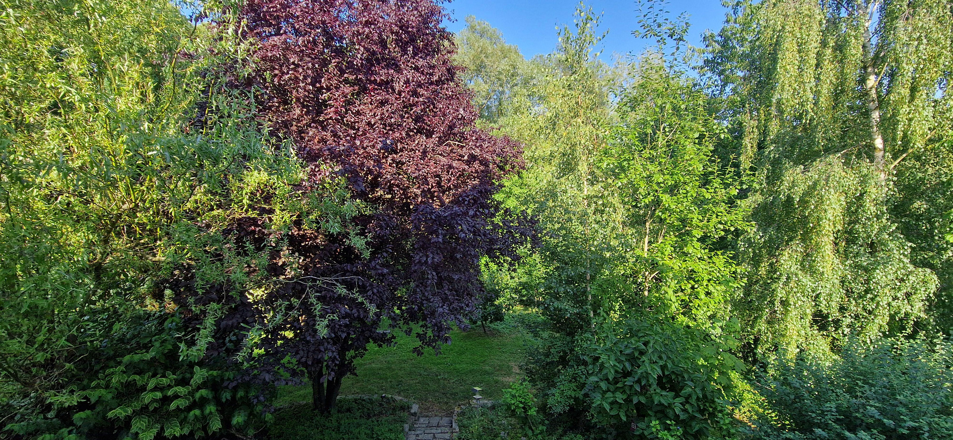 EFH / großer Hausteil mit EBK, Kamin, 2 Terrassen und traumhaftem Garten in direkter Seenähe 🌊 – Möhnesee(Körbecke) – Vorschaubild 26
