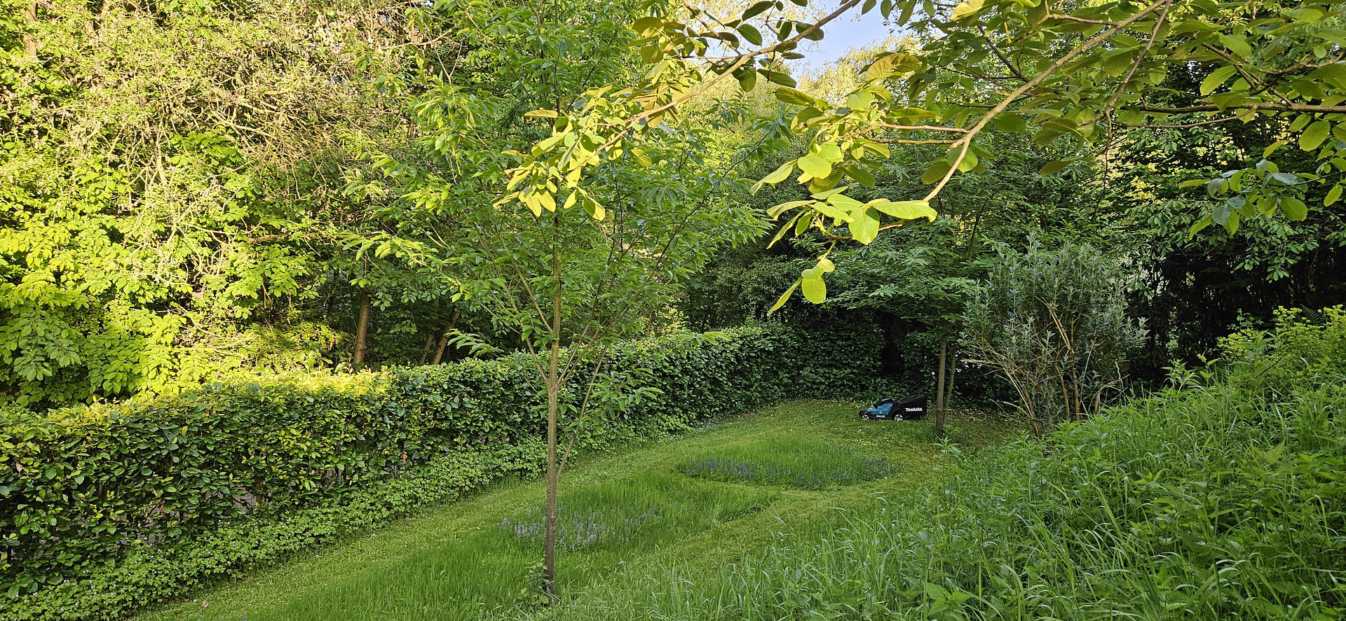 EFH / großer Hausteil mit EBK, Kamin, 2 Terrassen und traumhaftem Garten in direkter Seenähe 🌊 – Möhnesee(Körbecke) – Vorschaubild 5