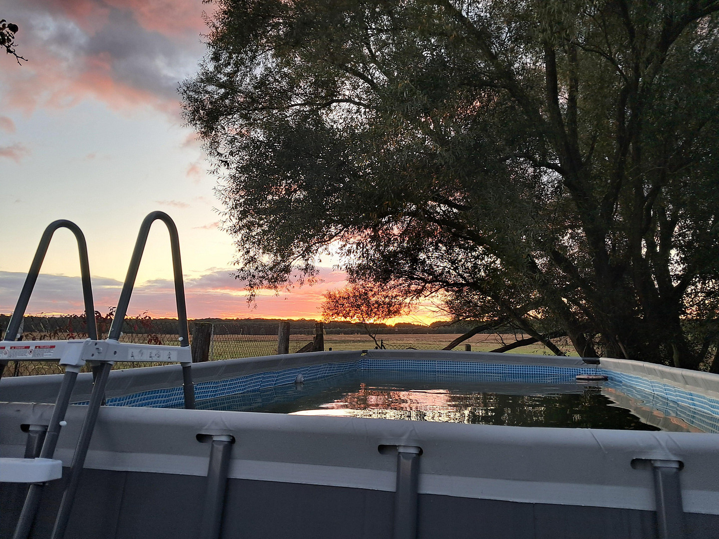 Idyllischer Vierseithof im schönen Fläming – Wiesenburg/Mark(Jeserig/Fläming) – Vorschaubild 18