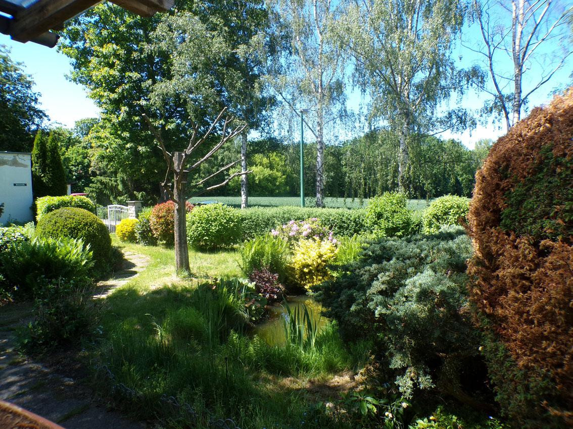 Natur. Ruhe. Bungalow auf Eckgrundstück mit unverbaubarem Ausblick – provisionsfrei! – Leipzig-Portitz(Plaußig-Portitz) – Vorschaubild 6