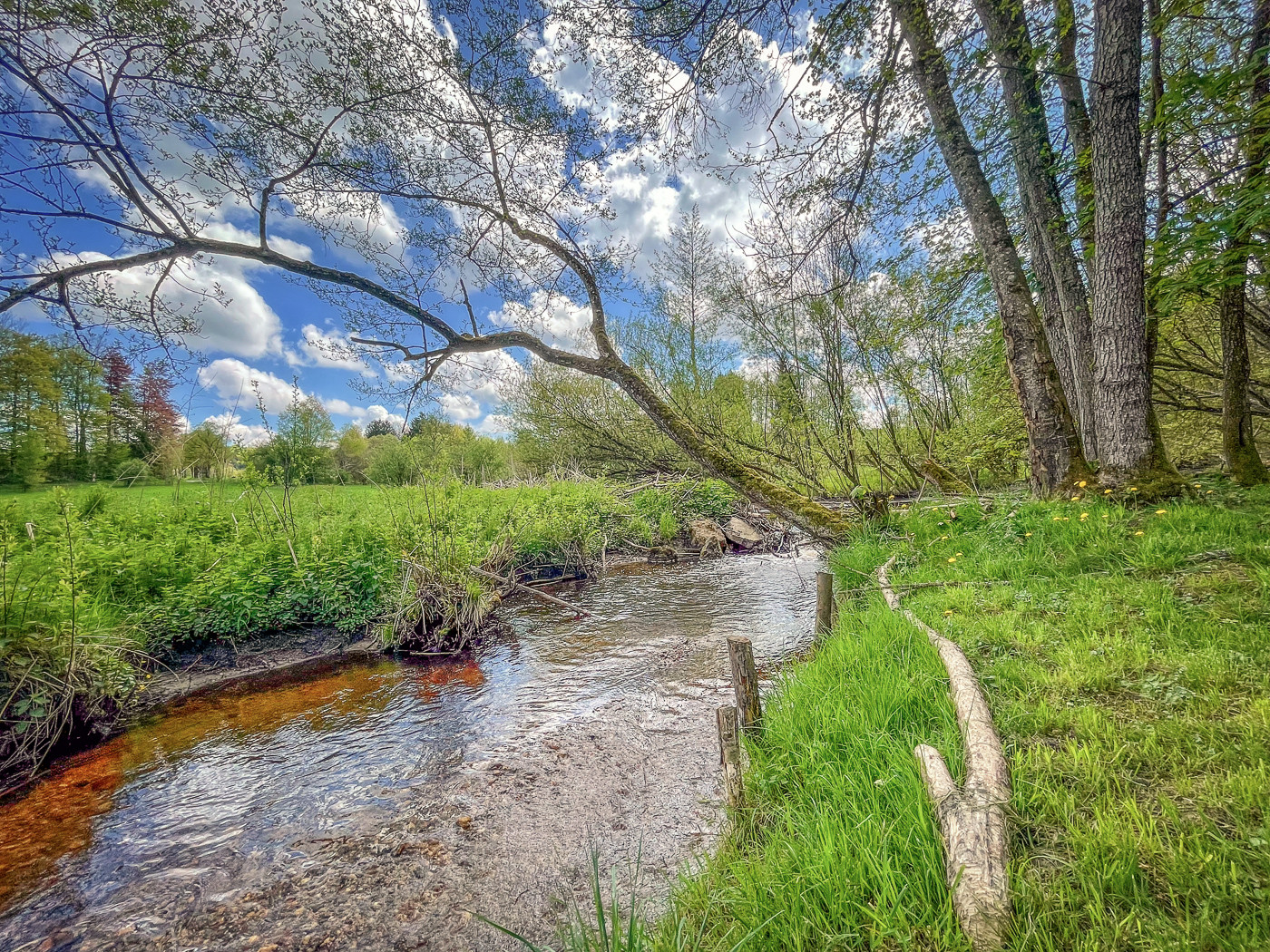 Historische Wassermühle am Lüßbach – einzigartiges Refugium auf 2.678 m² bei Berg – Manthalstr. 2, 82335 Berg – Vorschaubild 6