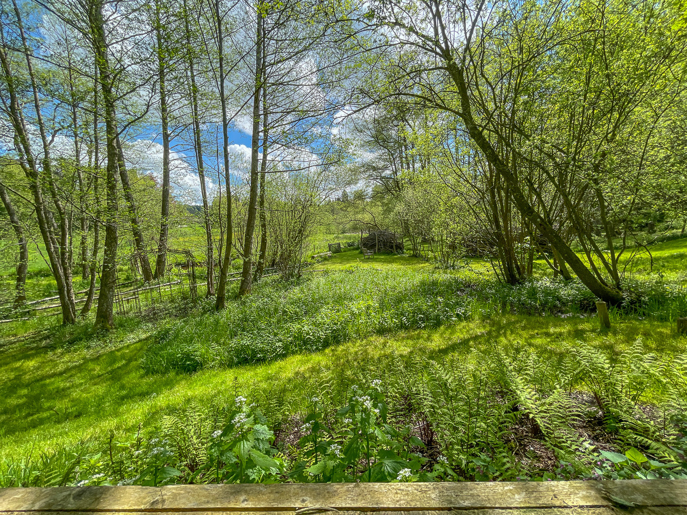 Historische Wassermühle am Lüßbach – einzigartiges Refugium auf 2.678 m² bei Berg – Manthalstr. 2, 82335 Berg – Vorschaubild 18