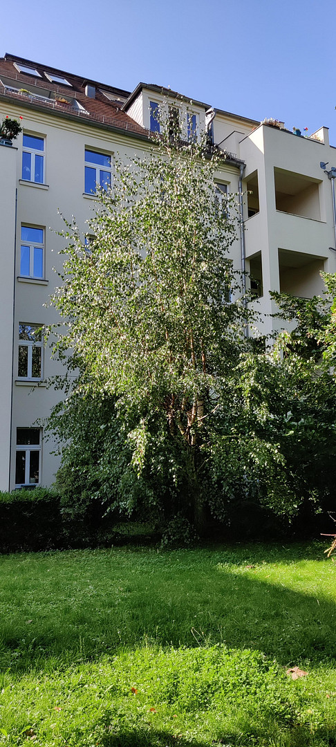 Sonnige 4-Zimmer Wohnung in Leipzig`s Südvorstadt, von privat – Fichtestrasse 5, 4275 Leipzig(Südvorstadt) – Vorschaubild 17