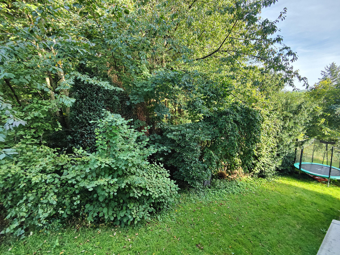 Dreifamilienhaus im Grünen mit großem Grundstück – Remscheid – Vorschaubild 19