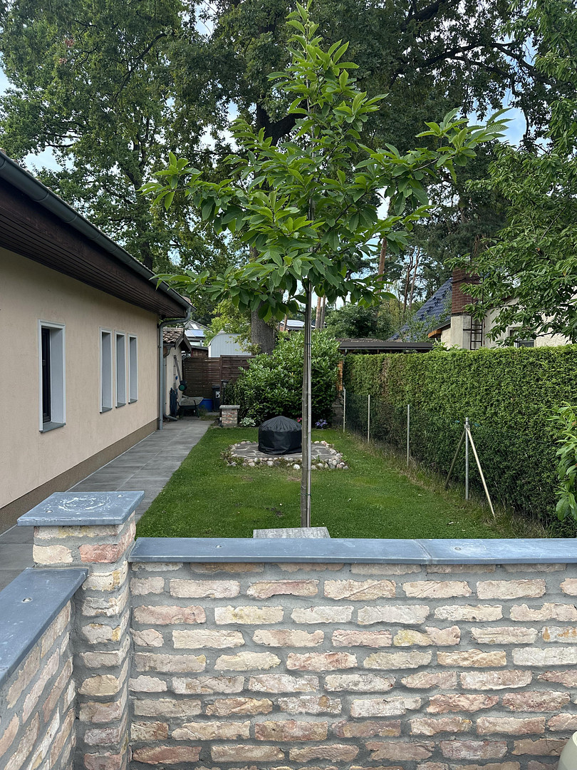 Wohnen wie im Urlaub: Mediterraner Bungalow in Blankenfelde-Mahlow – Blankenfelde-Mahlow(Waldsiedlung) – Vorschaubild 6
