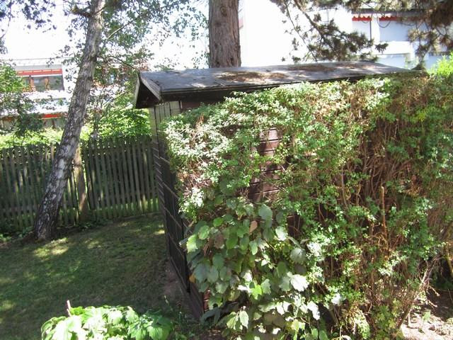 Wohnen wie im eigenen Haus – München(Hadern) – Vorschaubild 19