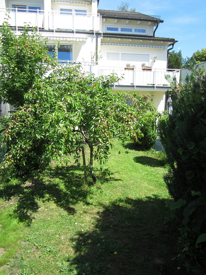 Wohnen wie im eigenen Haus – München(Hadern) – Vorschaubild 4