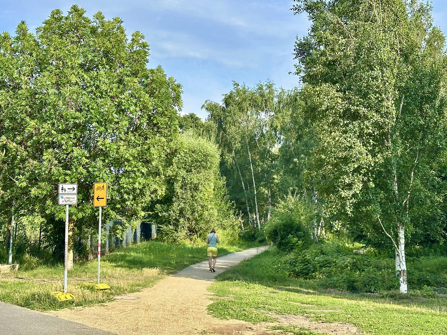 Attraktive Kapitalanlage: Modernisierte Eigentumswohnung im Westlichen Ringgebiet Braunschweig – Hugo-Lutter-Str. 9a, 38118 Braunschweig – Vorschaubild 16