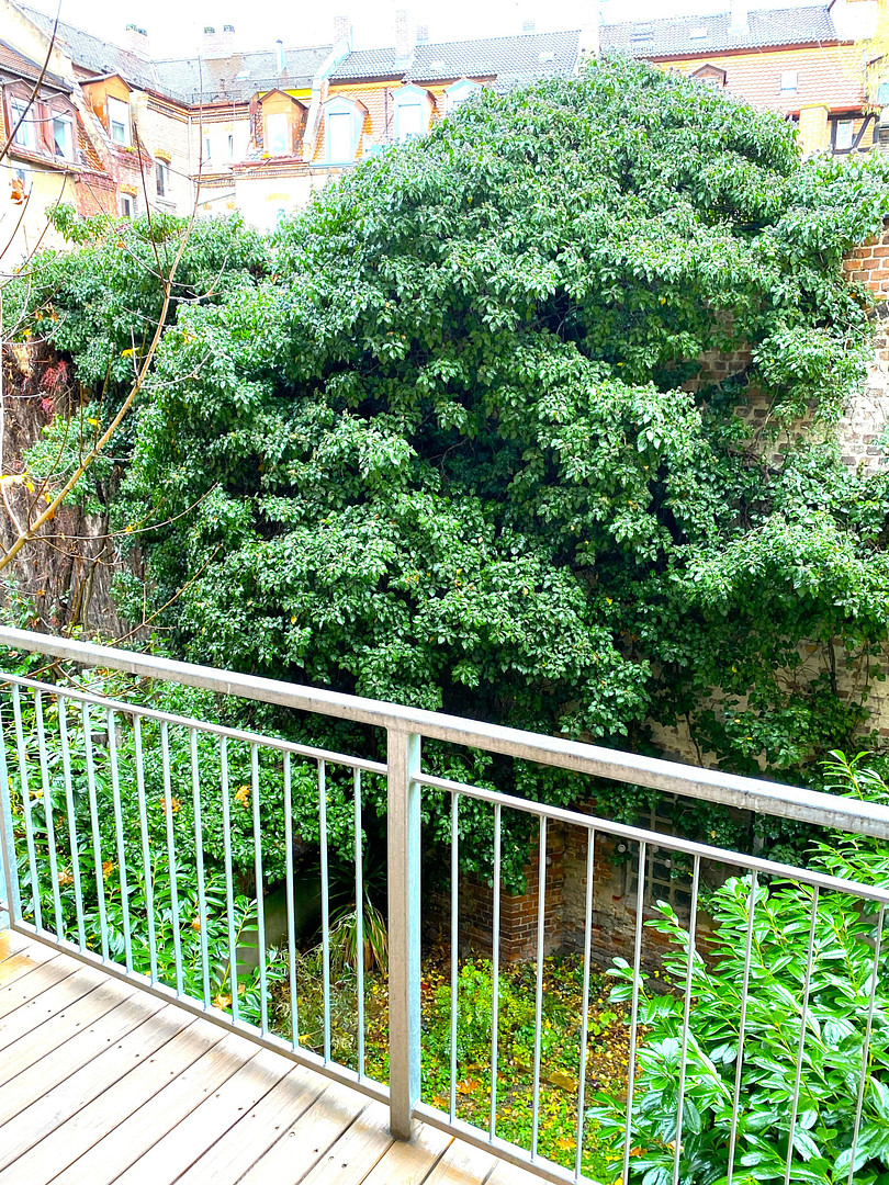 Helle 2-Zi- Wohnung mit Balkon in ruhiger Lage- Reichstr. NBG – Reichstr. 0, 90408 Nürnberg(Gärten hinter der Veste) – Vorschaubild 7