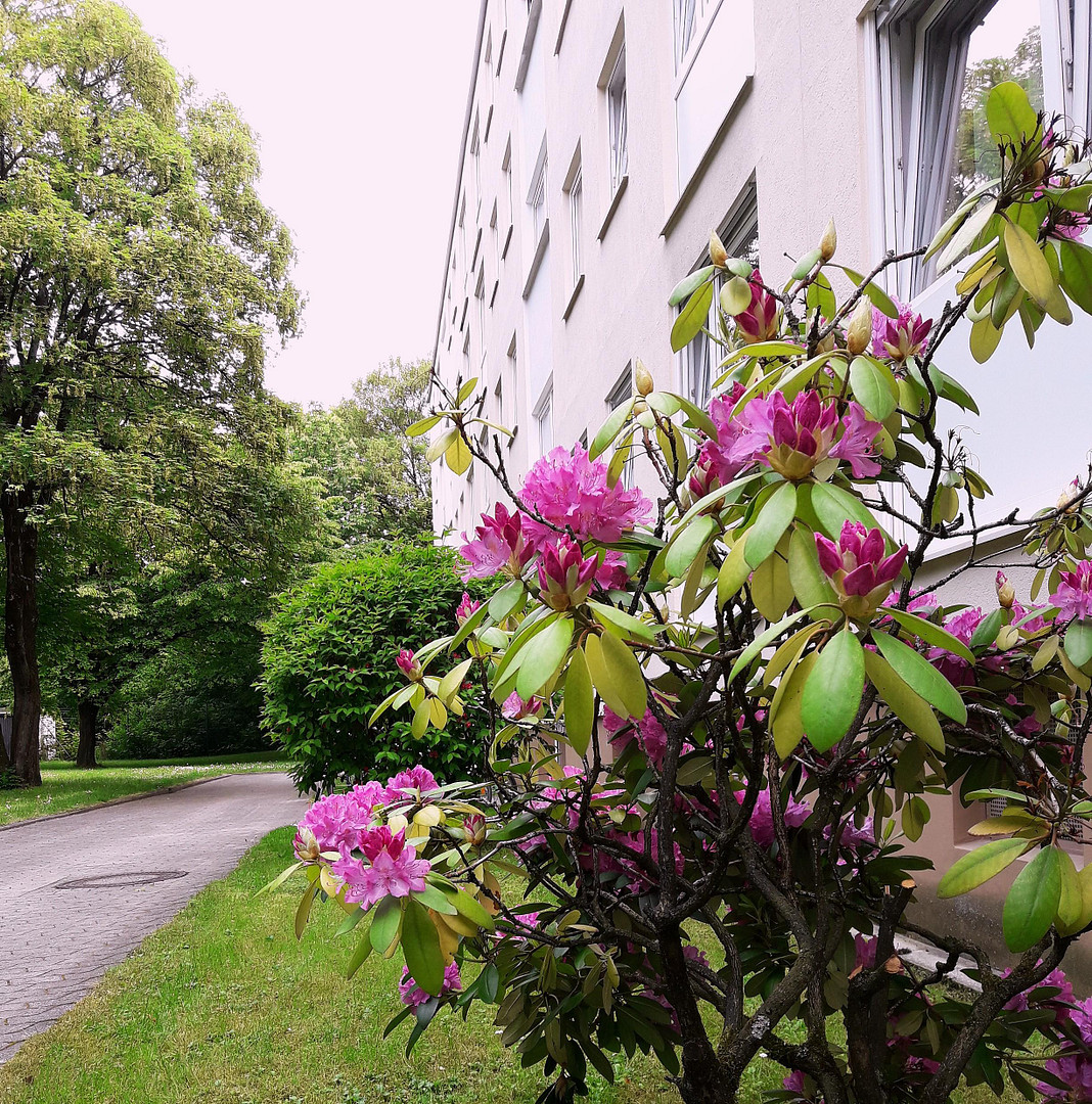 Möblierte, helle 1-Zimmer-Wohnung mit Südloggia in absolut ruhiger und dennoch zentraler Lage! – Regina-Ullmann-Str., 81927 München(Johanneskirchen) – Vorschaubild 15