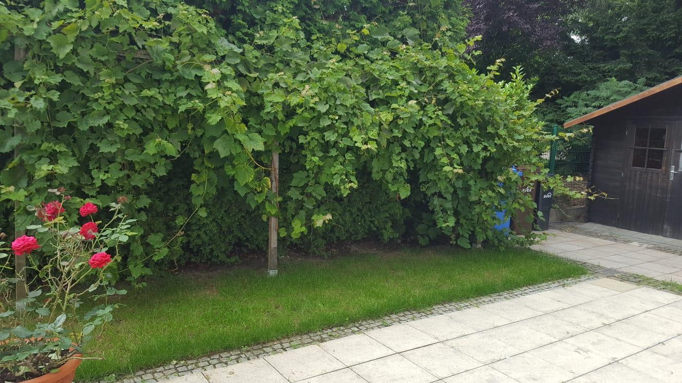 Reihenendhaus mit gehobene Ausstattung und 2 Stellplätze (Mietpreis inbegriffen) – Leverkusen(Opladen) – Vorschaubild 3