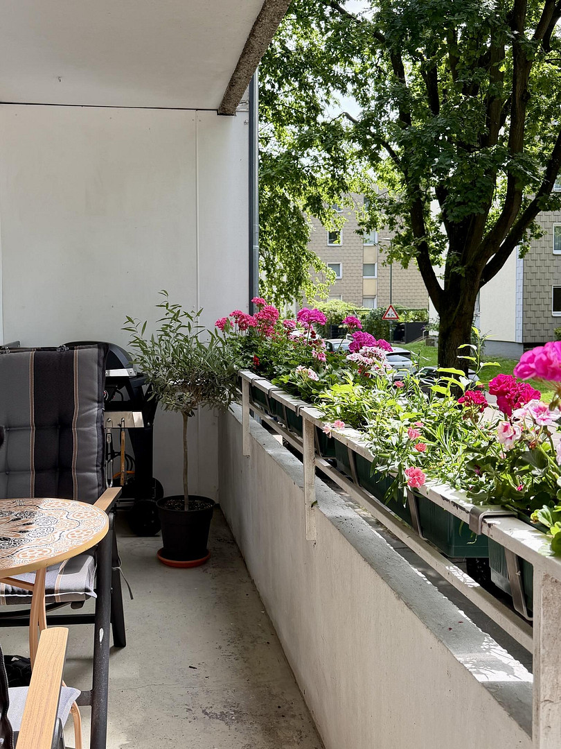 Ruhig, grün & zentrumsnahe 3-Zi. 74qm Wohnung mit SW-Loggia am Grafenberger Wald – Hülsmeyerstraße 4, 40629 Düsseldorf(Ludenberg) – Vorschaubild 9