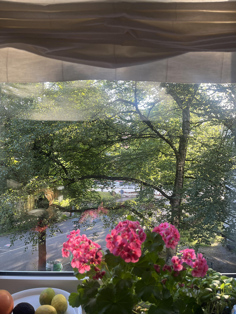 Sonnige 3,5-Zimmer-Wohnung mit Südbalkon im Herzen Hamburgs – 22087 Hamburg(Uhlenhorst) – Vorschaubild 11